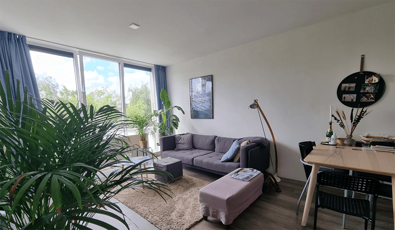 Wohnung Koeriersterweg, Groningen - Zur Miete