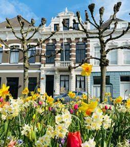 Furnished Room Mauritsstraat, Breda - For Rent