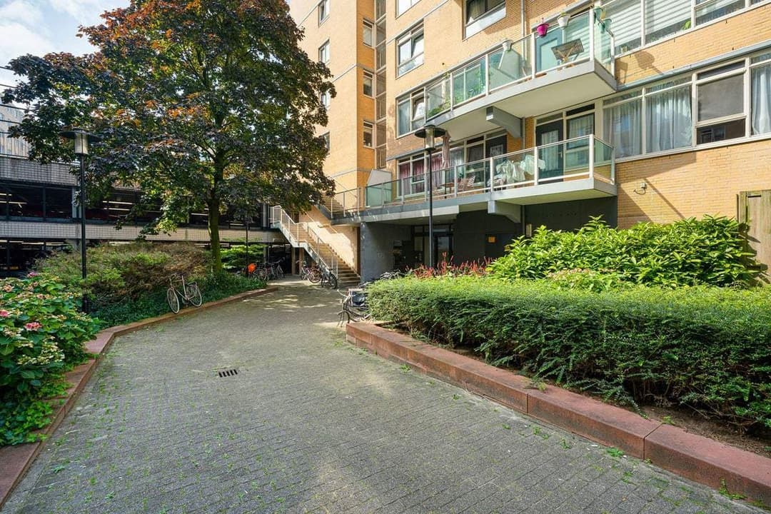 Flat Kipstraat 141, Rotterdam - For Rent