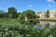 Appartement Schoutendreef, Den Haag - Te Huur