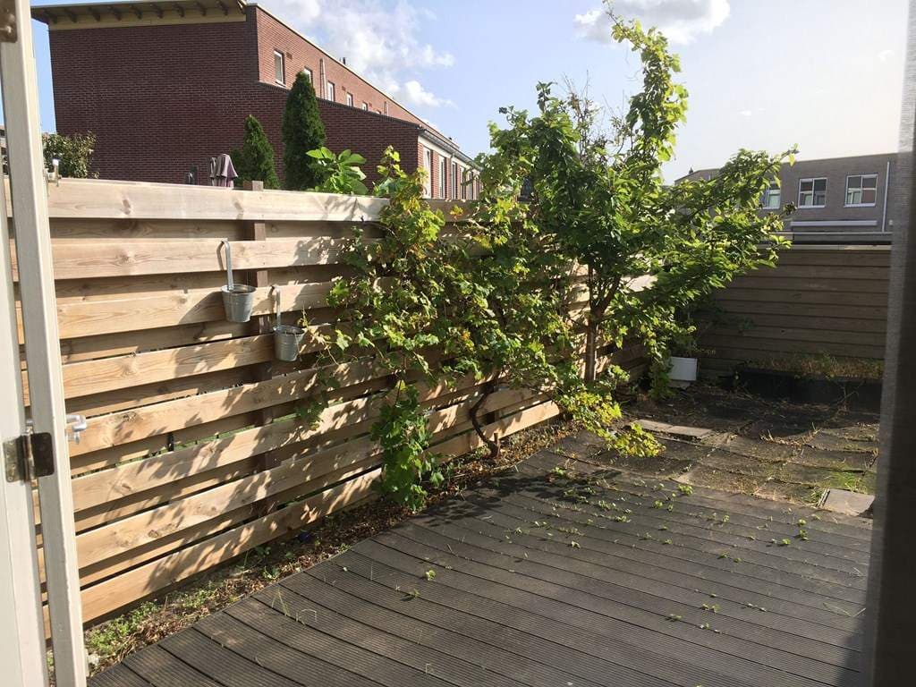 Zimmer zu vermieten Eurokade, Amsterdam