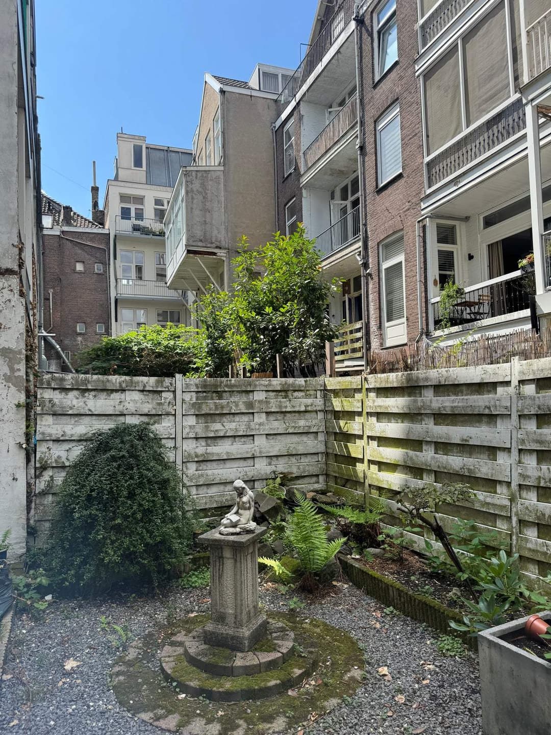 Flat Proveniersstraat 19 B 2, Rotterdam - Te Huur