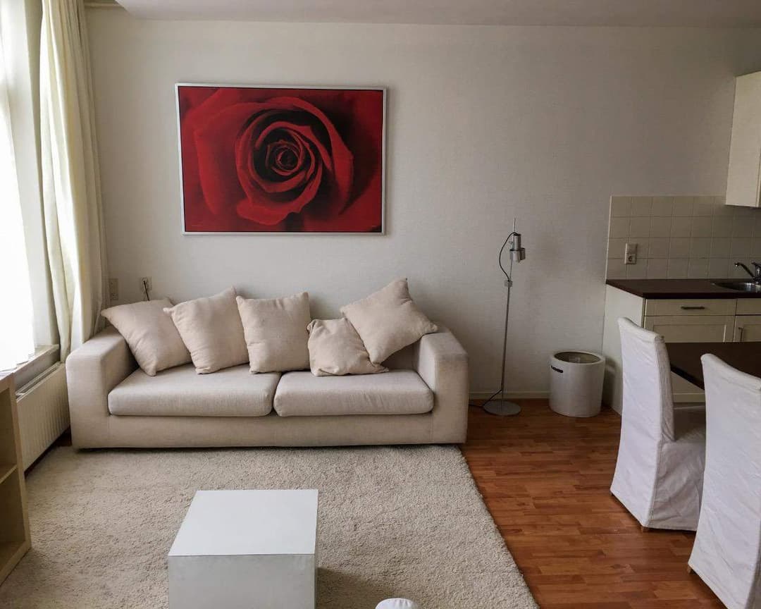 Furnished Studio for Rent, Piet Heinstraat, Den Haag