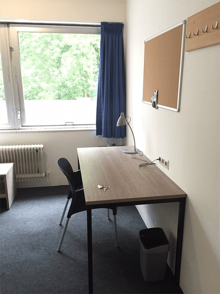 Kamer Aan 't Verlaat, Delft — Gemeubileerde Kamer (11–28 m²)