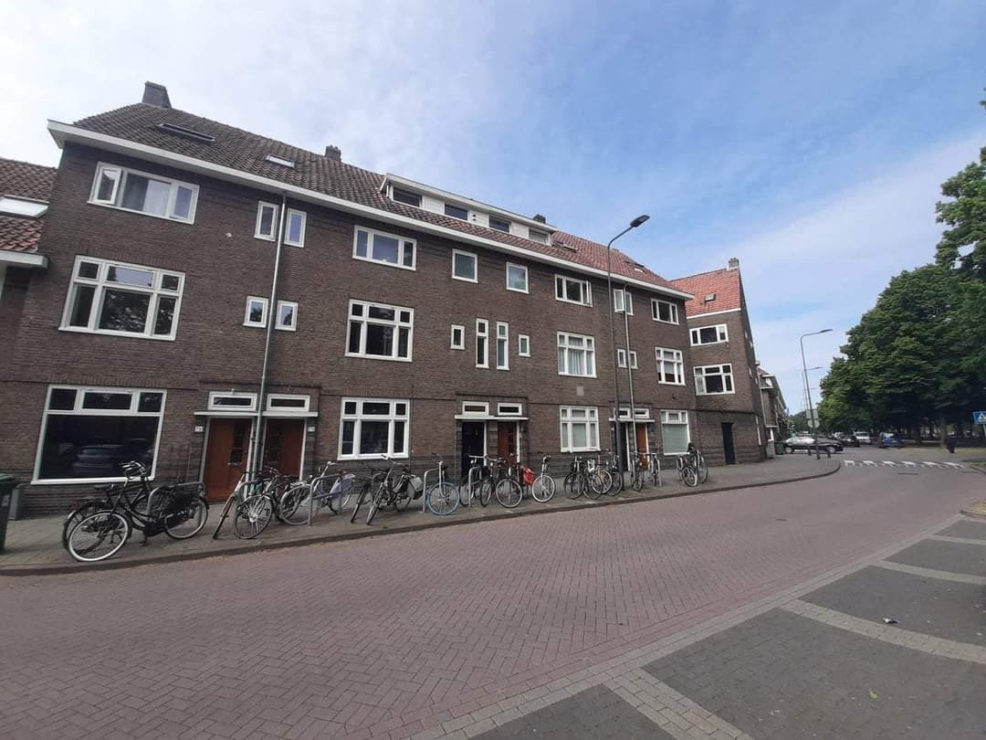 Room Geldersedam, Den Bosch - Te Huur
