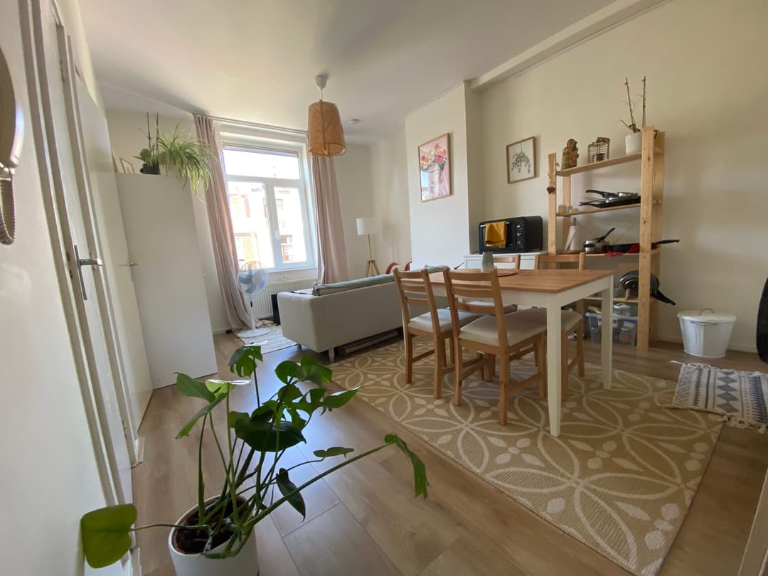 Apartamento de 2 habitaciones Helmersstraat, La Haya - En alquiler