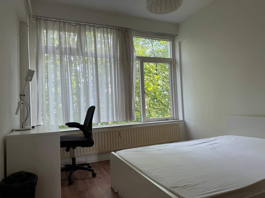 Gemeubileerde Kamer Goudsesingel, Rotterdam - Te Huur