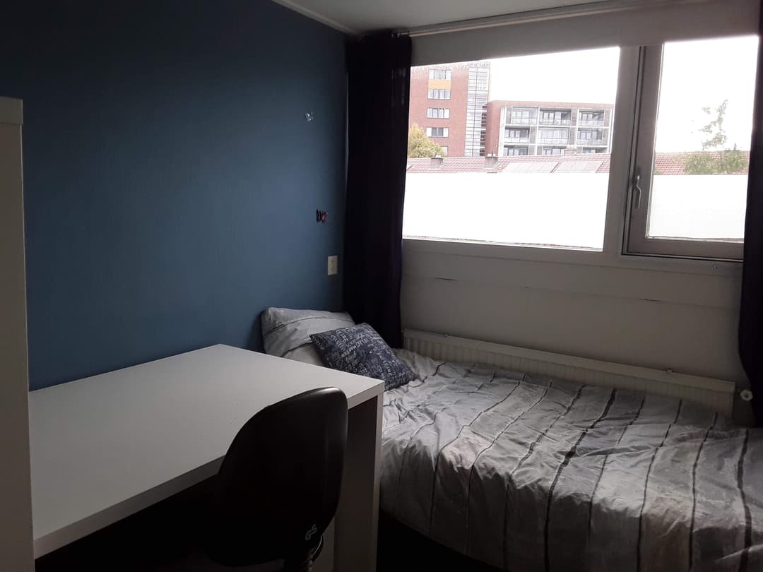 Furnished Room, Vanenburgstraat, Wageningen - For Rent