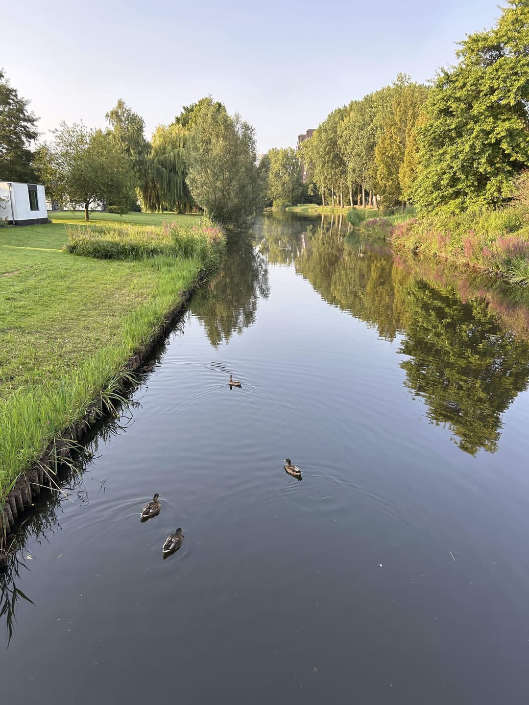 Zimmer zu vermieten in der Muzenlaan, Eindhoven