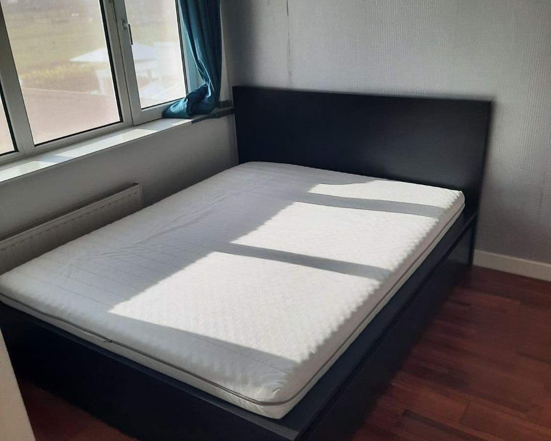 Furnished Room for Rent Zwarte Mees, Uithoorn