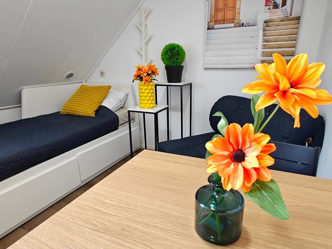 Furnished Room on Ringbaan-Oost, Tilburg - For Rent