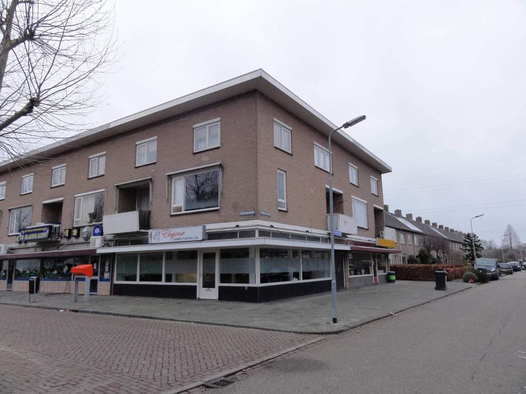 Flat Laagakkerstraat, Den Bosch - Te Huur