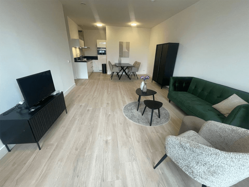 Appartement Sophiastraat, Breda - 1-slaapkamer (67 m²) Kortverhuur