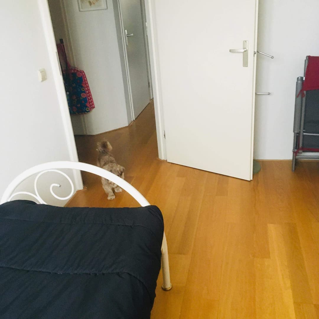 Ongemeubileerde Kamer Buitendijklaan, Leiderdorp - Te Huur