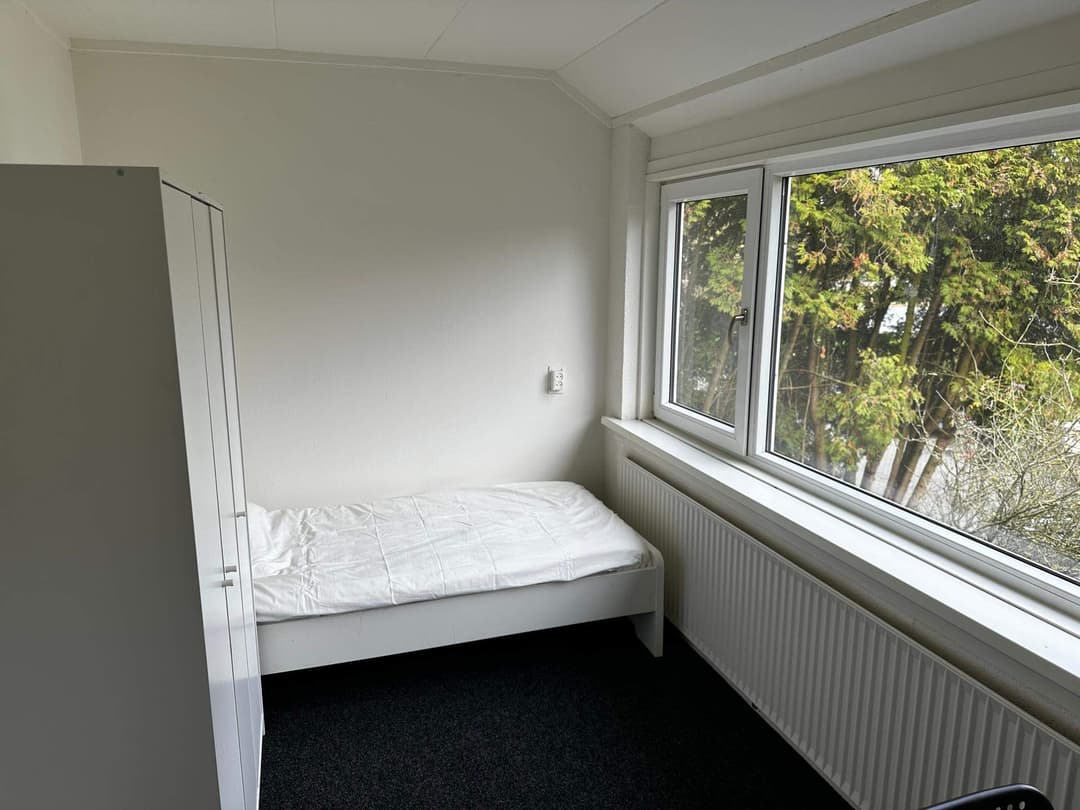 Gemeubileerde Kamer Zandkreekstraat, Deventer - Te Huur