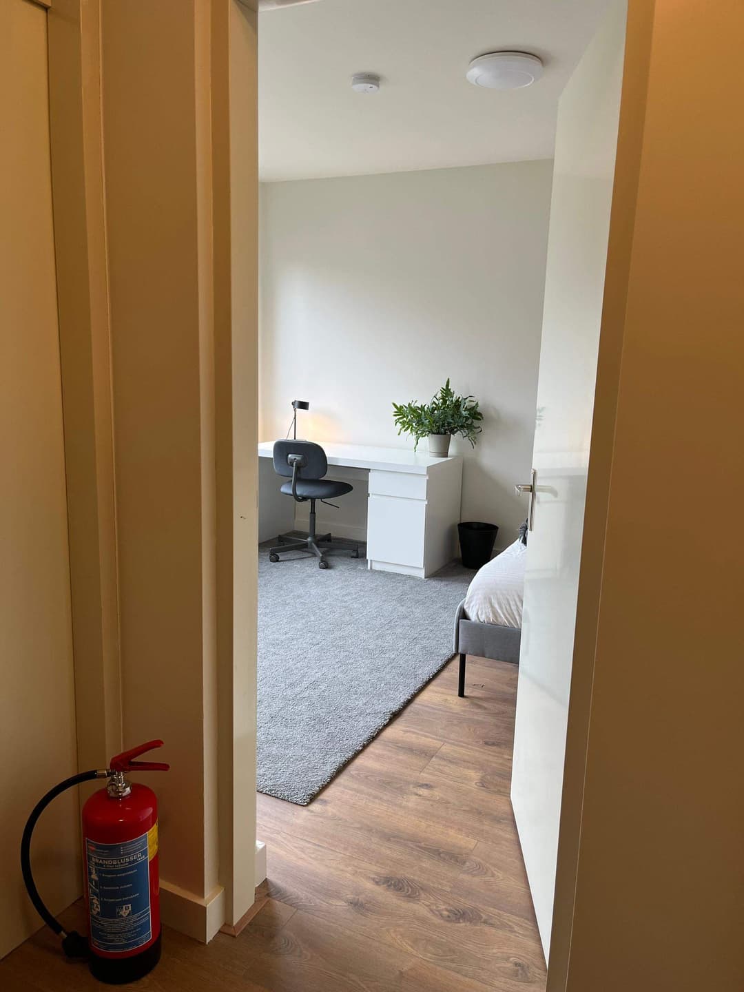 Habitación Amueblada Calle Beukelaars, Rotterdam - En Alquiler