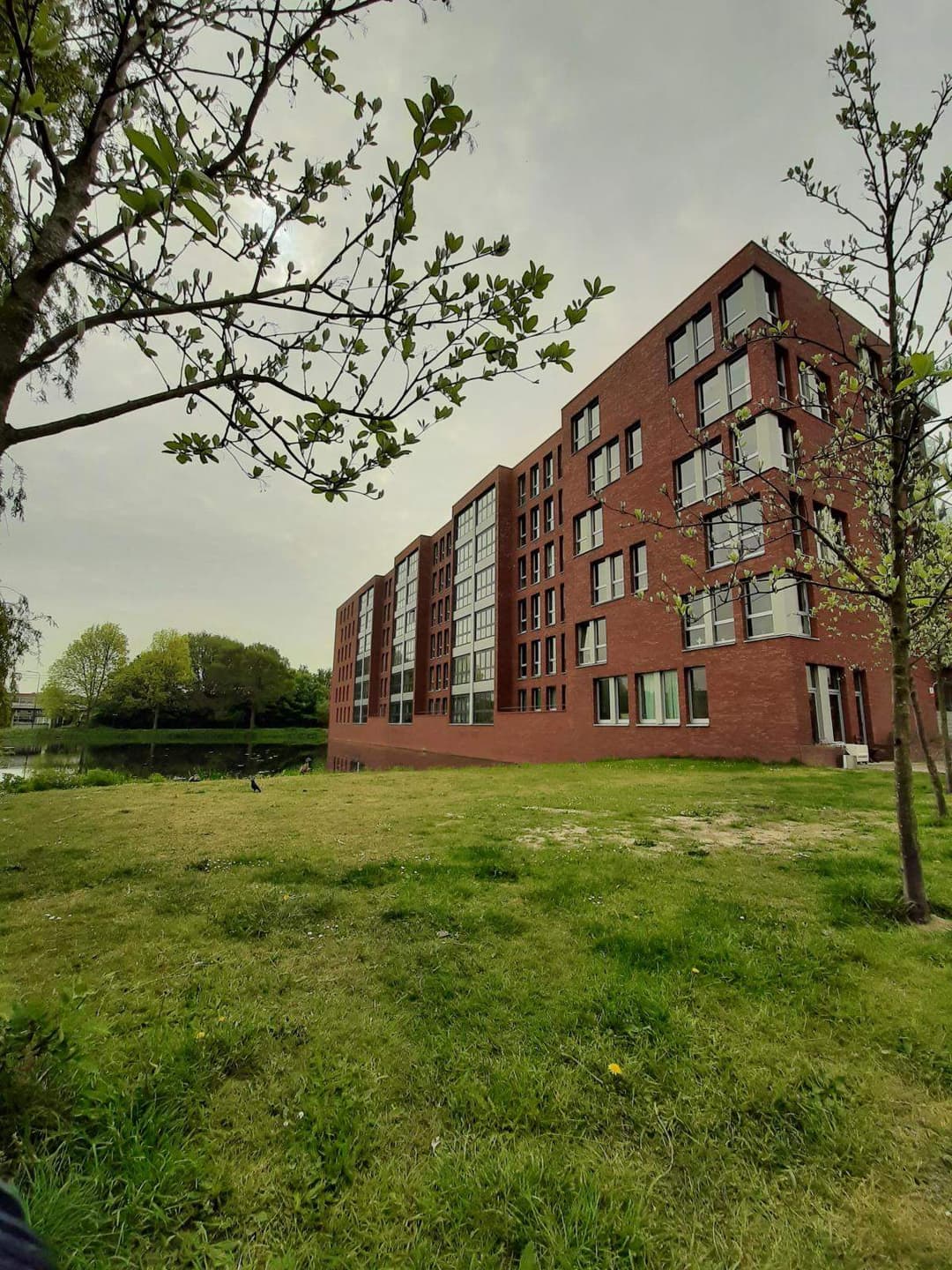 Flat Diamantlaan 168, Leiden - Te Huur