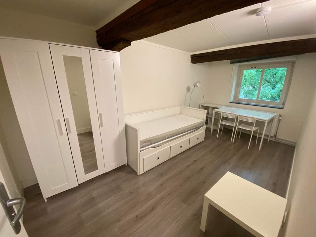 Room Grote Looiersstraat, Maastricht - À louer