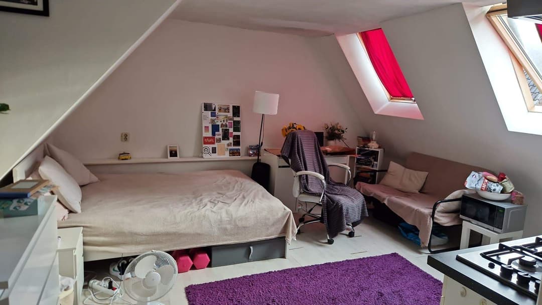 Gemeubileerde Studio Ypenmolendrift, Groningen - Te Huur