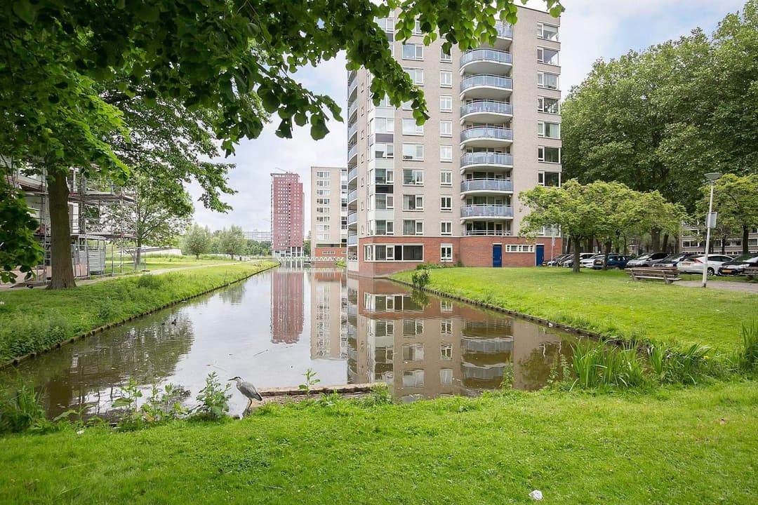 Chambre meublée Prinsenlaan, Rotterdam - À louer