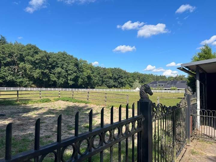 Kemperbergerweg, Schaarsbergen Arnhem - Paddock met paardenboxen - Te huur