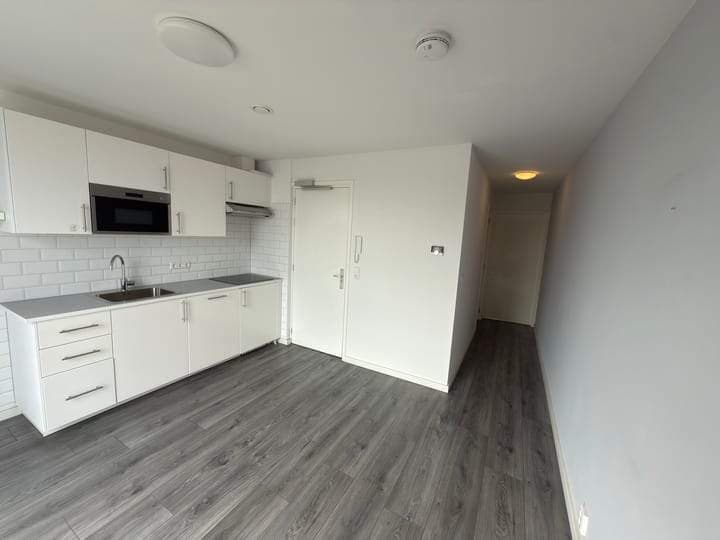 Apartamento Estudio Isingstraat, La Haya - En Alquiler