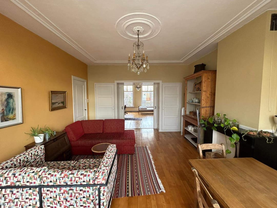 Furnished Room in Apartment, 2e Sweelinckstraat, Den Haag - For Rent