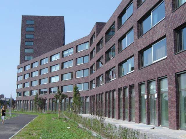 Flat Knobbelzwaansingel, Den Haag - For Rent