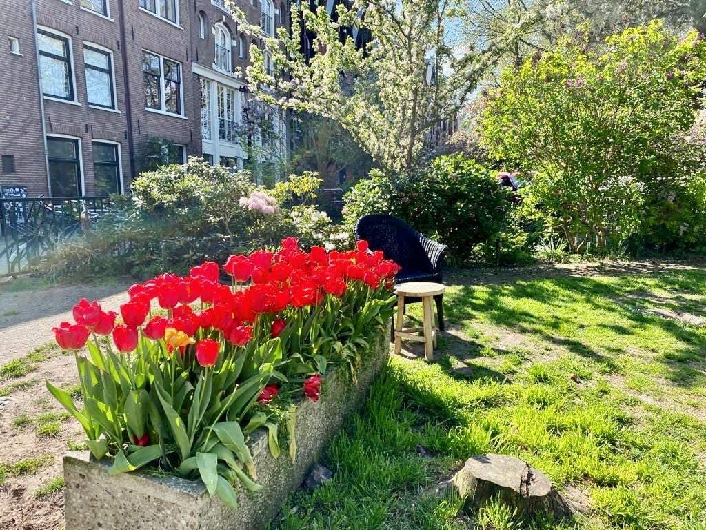Appartement Planciusstraat, Amsterdam - À louer
