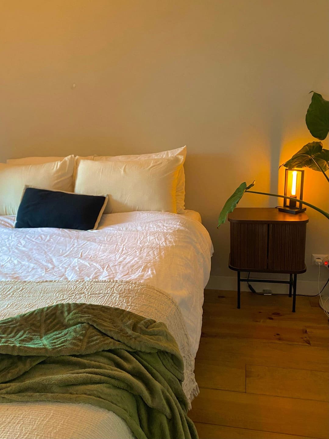 Furnished Apartment Jan van Galenstraat, Amsterdam - For Rent