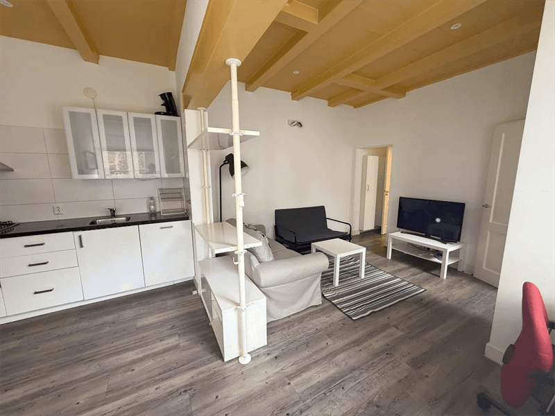 Appartement Stevenshof, Leiden - 1-chambre, 44 m² (Meublé)