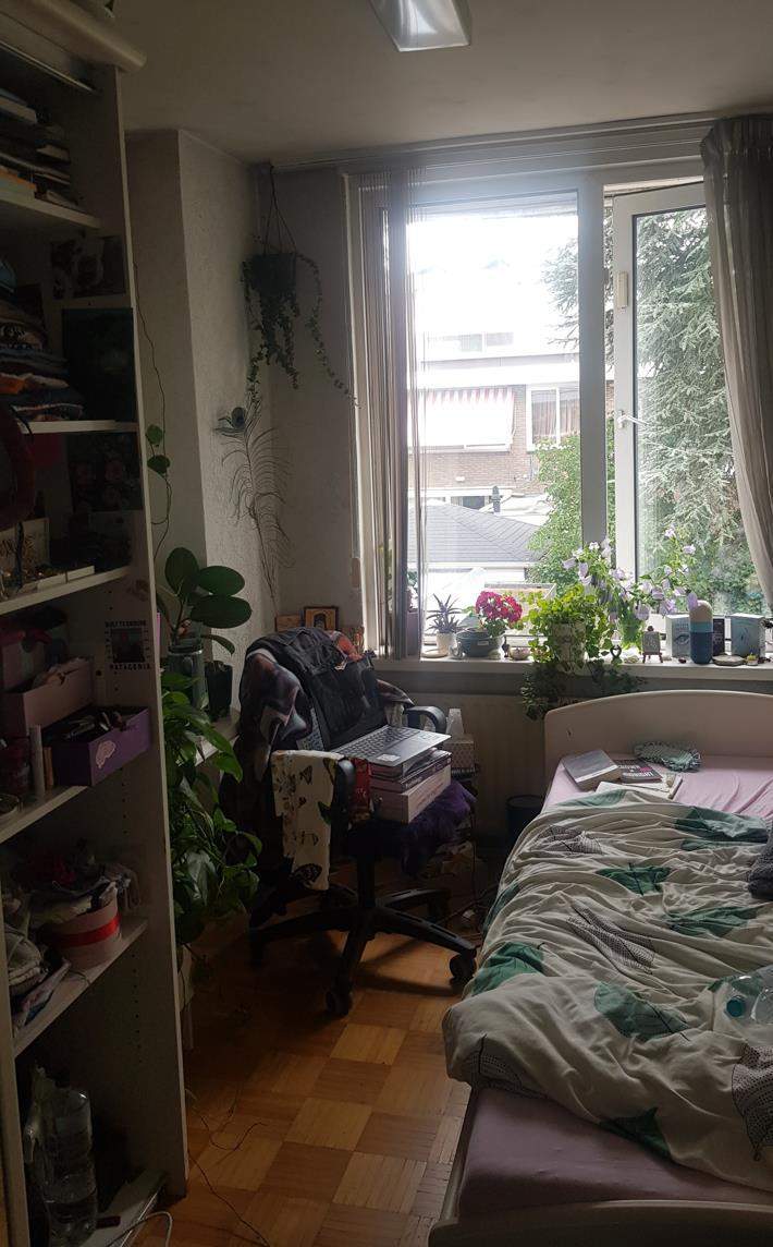 Chambre Meublée Van der Boechorststraat, Amsterdam - À Louer