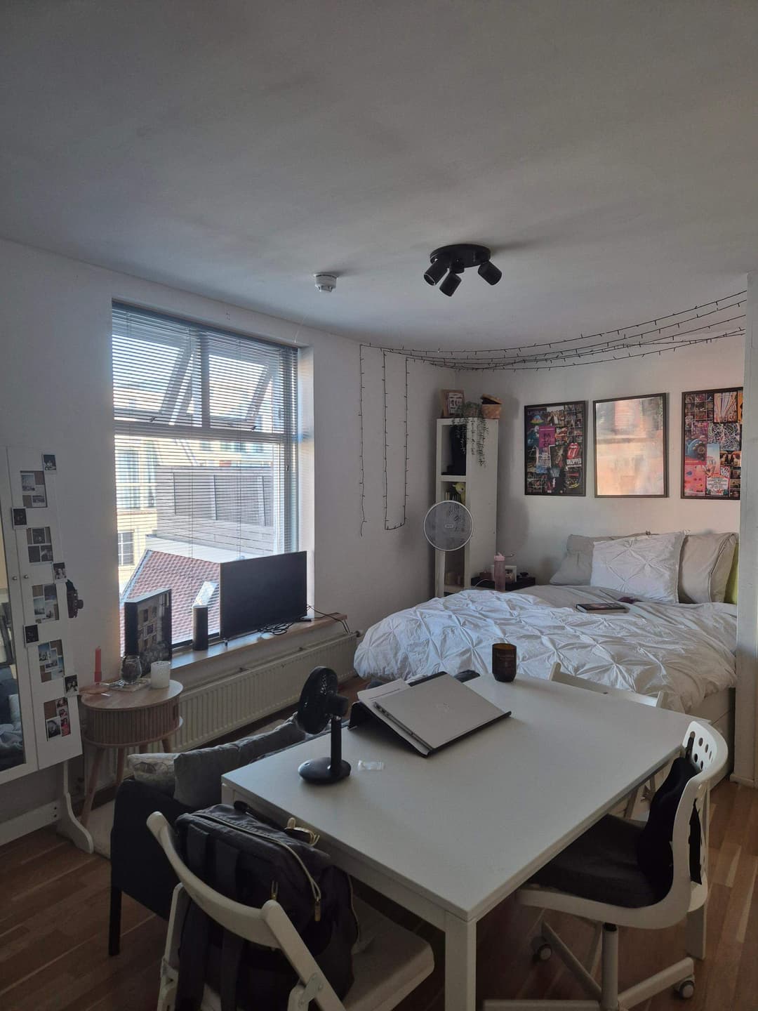 Gemeubileerde Kamer Te Huur Lijnbaanstraat, Groningen
