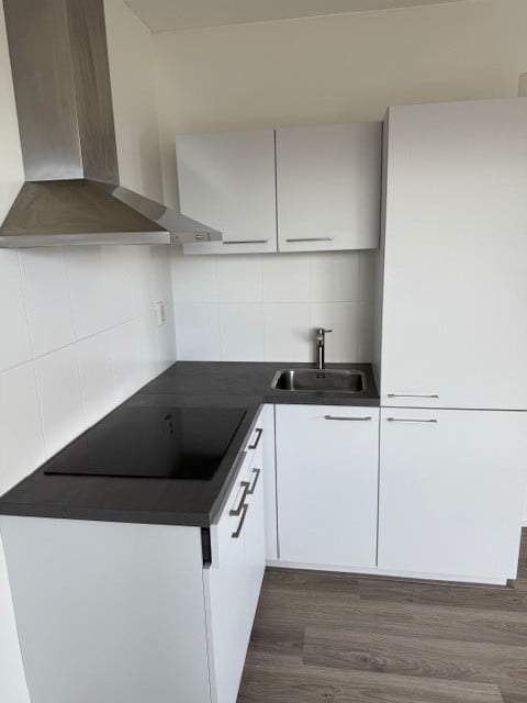 Studio Apartment Brucknerlaan 213-A, Tilburg