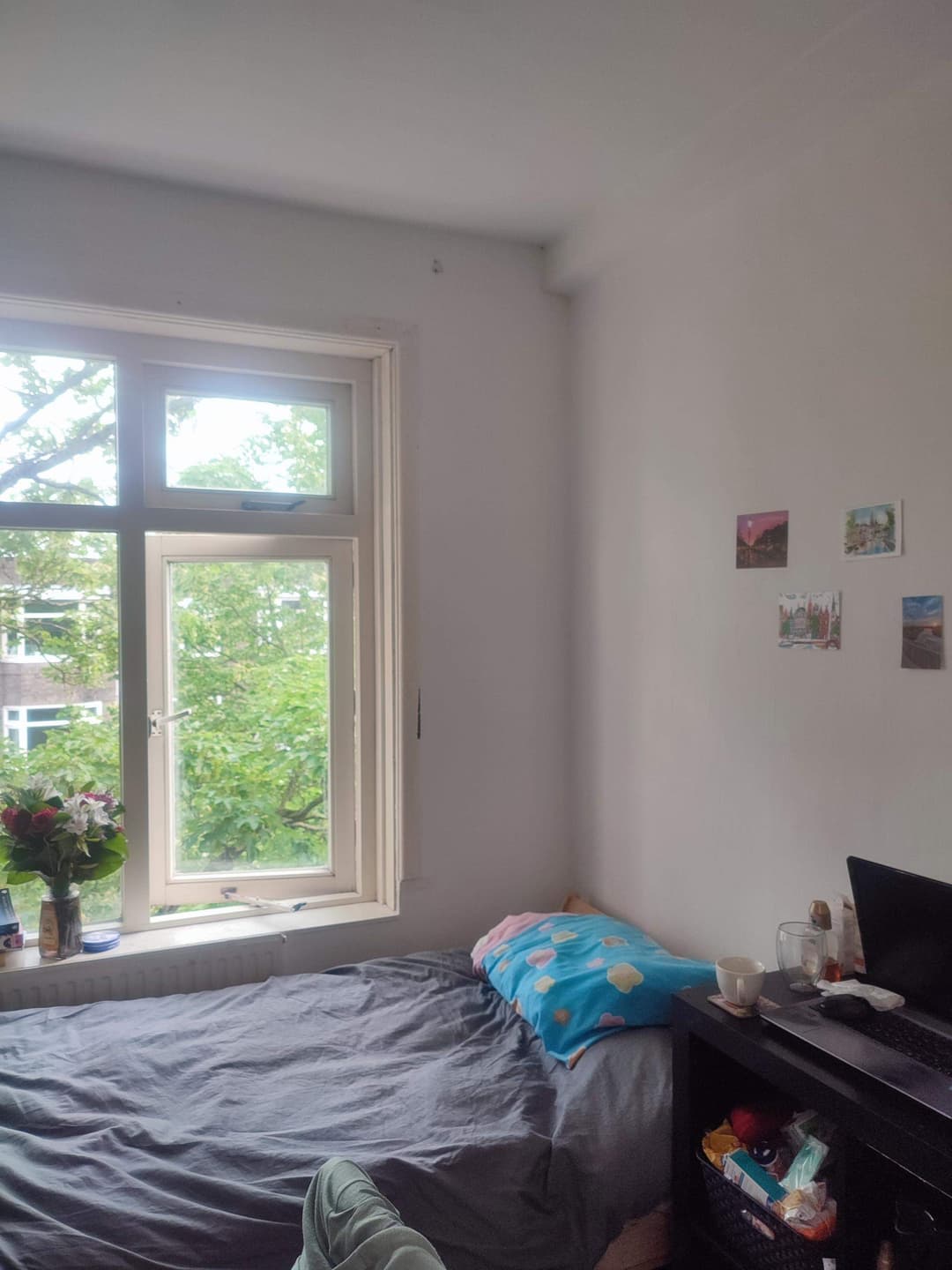 Furnished Room for Rent E. Thomassen a Thuessinklaan, Groningen