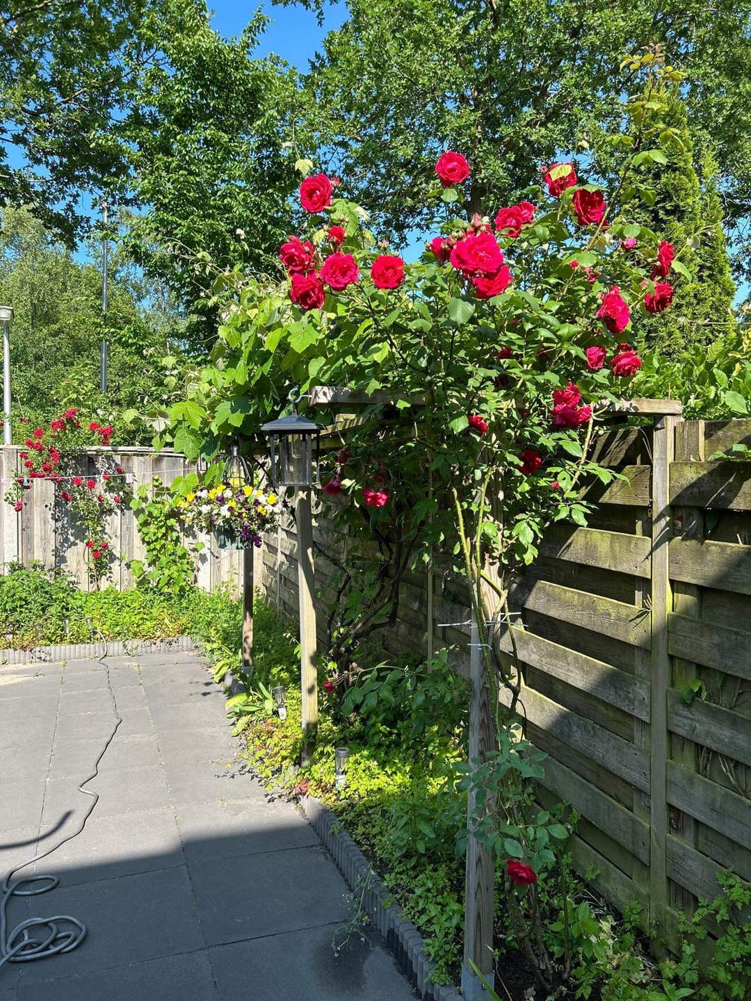 Chambre meublée à Hesselinklanden, Enschede - À Louer