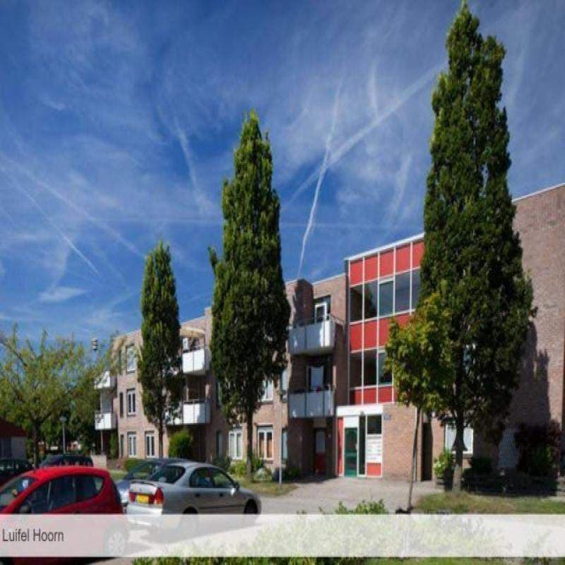 Appartement de 3 pièces au Luifel 42, Hoorn - À louer