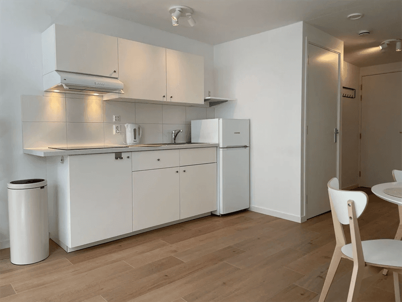 Apartamento Klimmende Leeuwsteeg, Leiden - En Alquiler