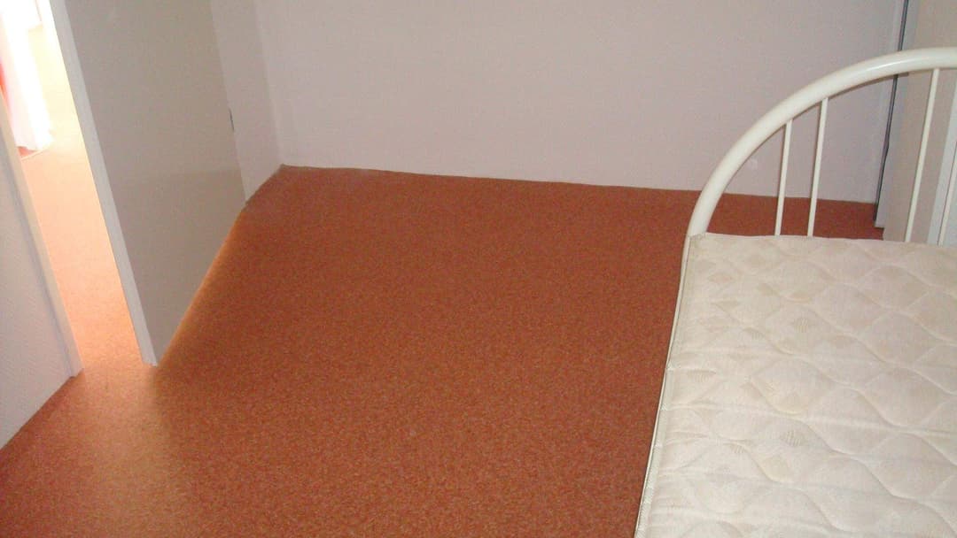 Room Waalstraat, Arnhem - For Rent