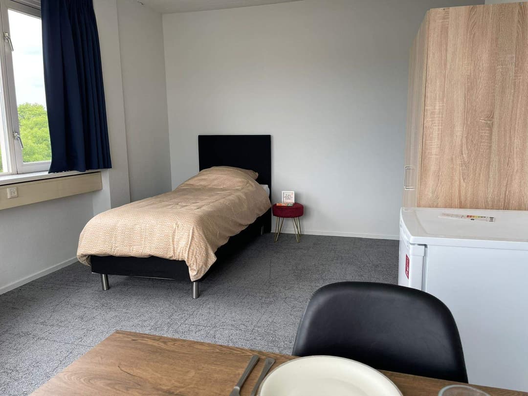 Furnished Room for Rent - Polakweg, Rijswijk