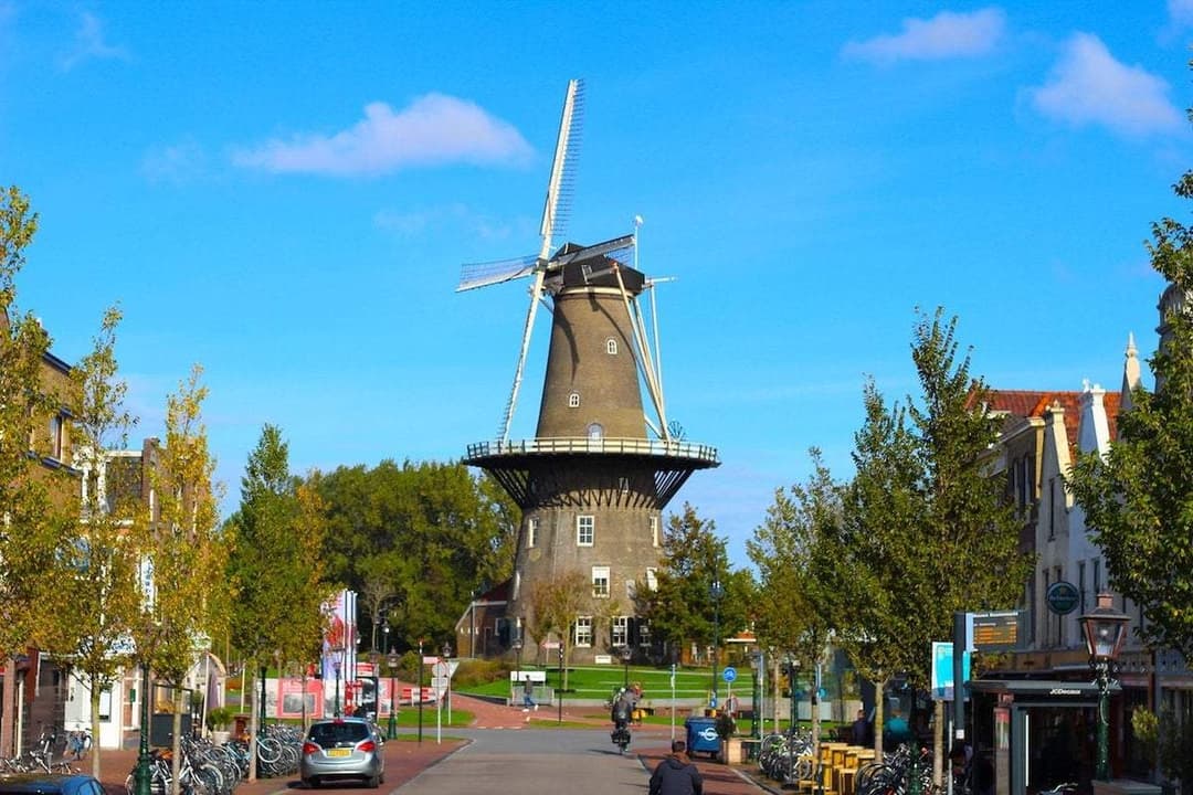 House Lammermarkt, Leiden - For Rent