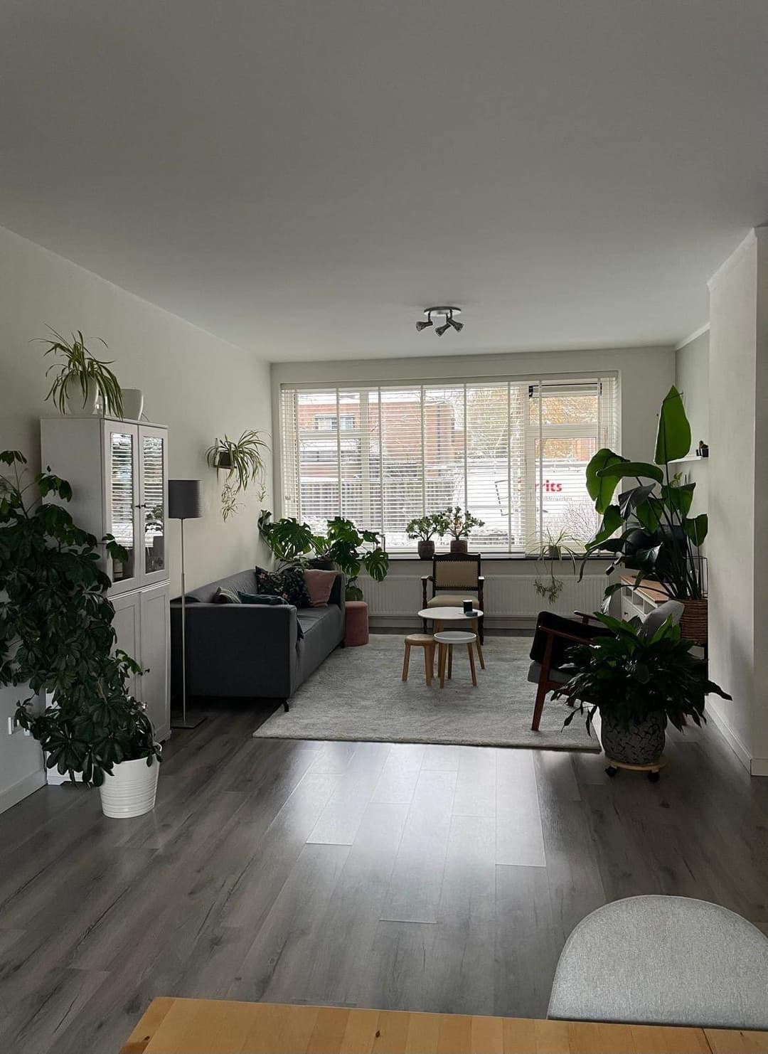 Wohnung Molukkenstraat, Nimwegen - Zu Vermieten