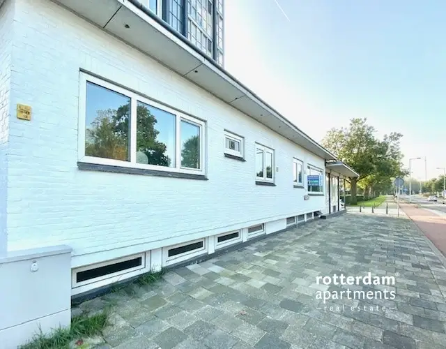 Appartement Kralingse Plaslaan, Kralingen - Court Séjour