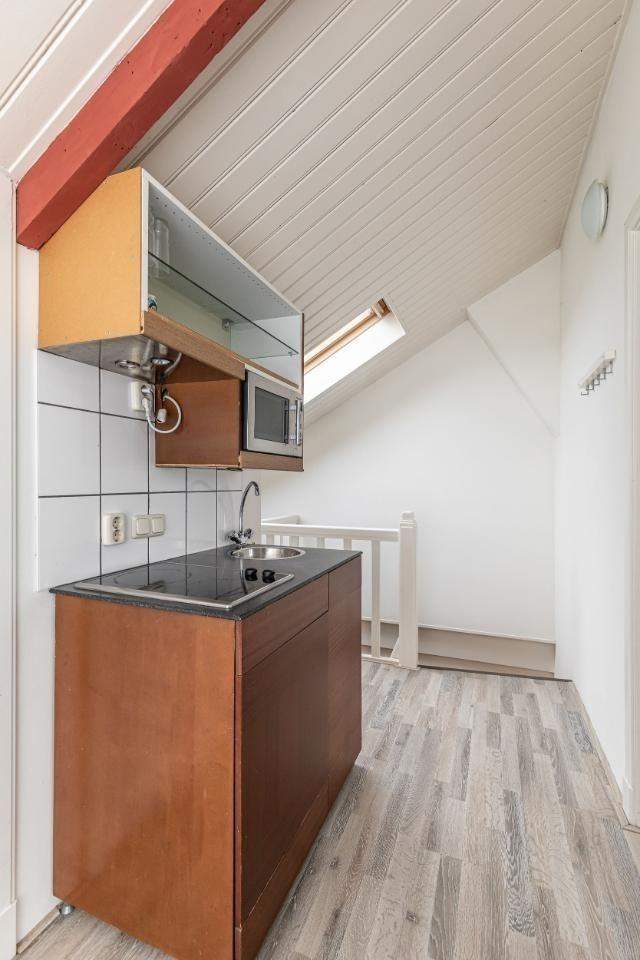 Furnished Room on Rijnsburgerweg, Leiden - For Rent
