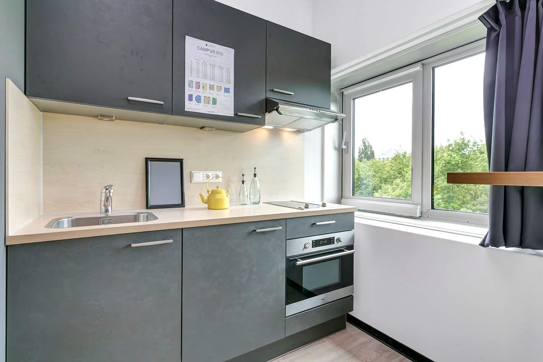 Studio Van Embdenstraat, Delft - For Rent