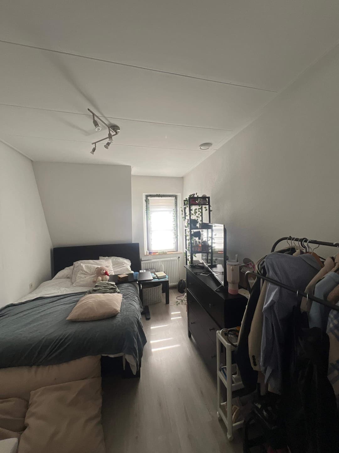 Chambre meublée Hoogveldweg, Meerssen - À louer