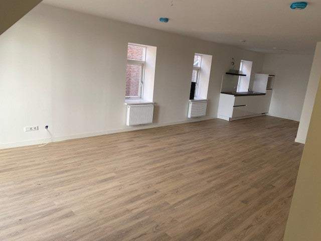 Flat Wilhelminapark, Tilburg - For Rent