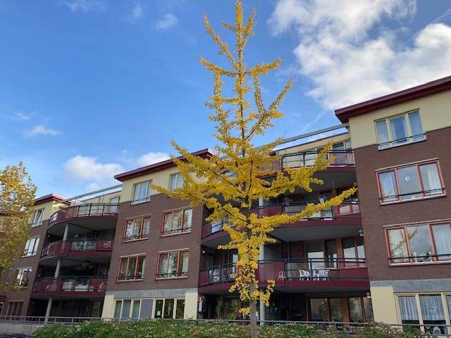 Wohnung Bloemendalstraat, Vaals - Zur Miete