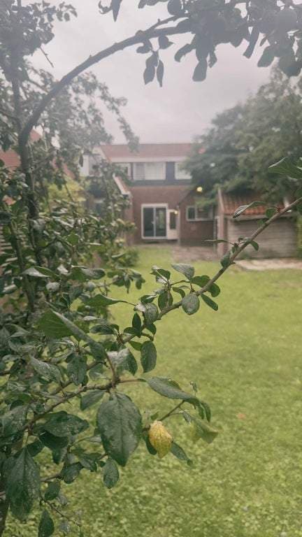 House Dorpsdijk, Rhoon - For Rent