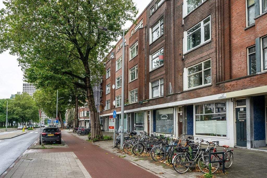 Duplex Flat Mathenesserweg, Rotterdam - For Rent